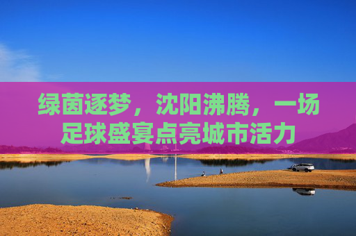 绿茵逐梦，沈阳沸腾，一场足球盛宴点亮城市活力
