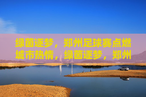 绿茵逐梦,郑州足球赛点燃城市热情,绿茵逐梦,郑州足球赛点燃城市热情
