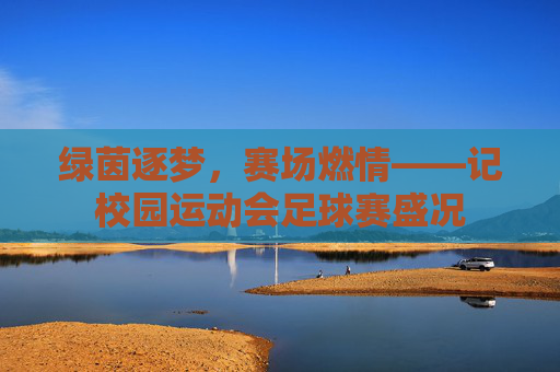 绿茵逐梦,赛场燃情——记校园运动会足球赛盛况