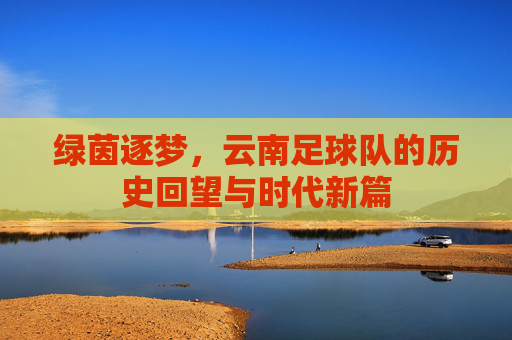 绿茵逐梦,云南足球队的历史回望与时代新篇