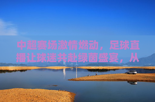 中超赛场激情燃动，足球直播让球迷共赴绿茵盛宴，从技术革新到文化共鸣的足球新体验，中超赛场激情燃动，足球直播共赴绿茵盛宴，技术革新与文化共鸣的足球新体验