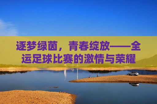 逐梦绿茵,青春绽放——全运足球比赛的激情与荣耀