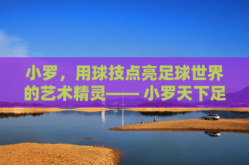 小罗,用球技点亮足球世界的艺术精灵—— 小罗天下足球的传奇与影响,小罗,用球技点亮足球世界的艺术精灵,天下足球的传奇与影响