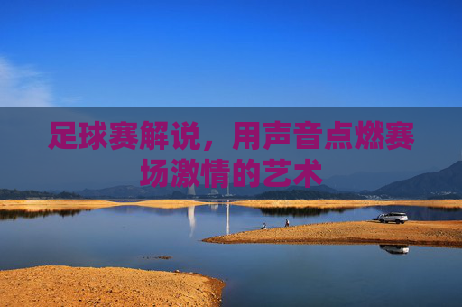 足球赛解说,用声音点燃赛场激情的艺术