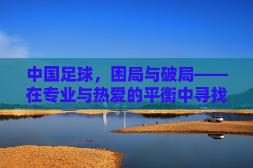 中国足球,困局与破局——在专业与热爱的平衡中寻找出路