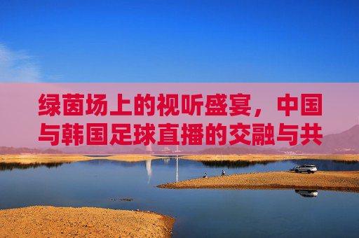 绿茵场上的视听盛宴，中国与韩国足球直播的交融与共鸣，绿茵场上的视听盛宴，中国与韩国足球直播的交融与共鸣