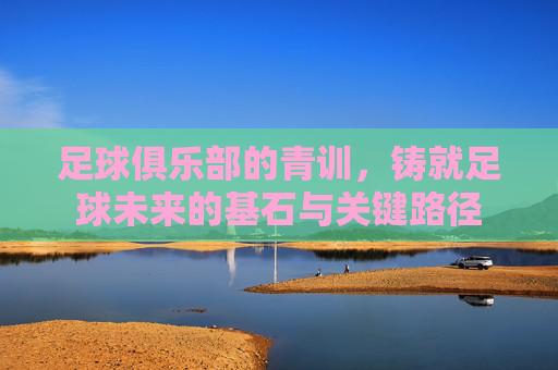 足球俱乐部的青训,铸就足球未来的基石与关键路径