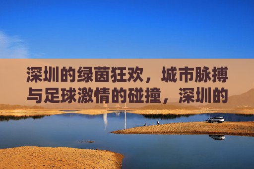 深圳的绿茵狂欢，城市脉搏与足球激情的碰撞，深圳的绿茵狂欢，城市脉搏与足球激情的碰撞