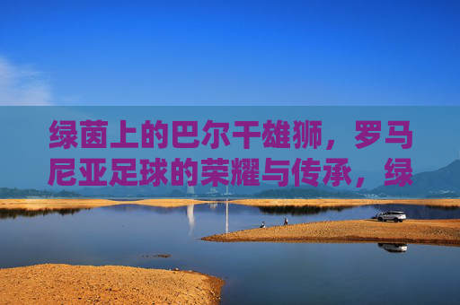 绿茵上的巴尔干雄狮,罗马尼亚足球的荣耀与传承,绿茵上的巴尔干雄狮,罗马尼亚足球的荣耀与传承