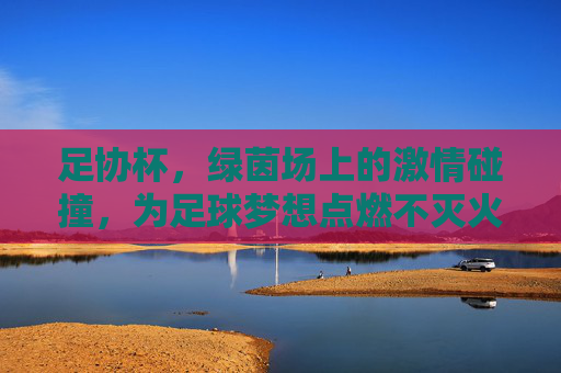 足协杯,绿茵场上的激情碰撞,为足球梦想点燃不灭火种