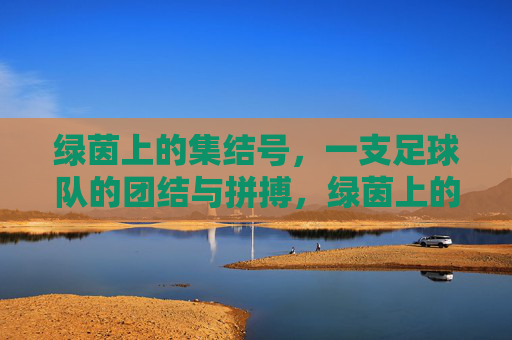 绿茵上的集结号，一支足球队的团结与拼搏，绿茵上的集结号，一支足球队的团结与拼搏