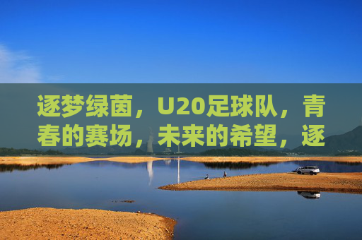 逐梦绿茵，U20足球队，青春的赛场，未来的希望，逐梦绿茵，U20足球队，青春的赛场，未来的希望