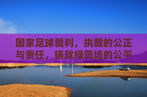 国家足球裁判,执裁的公正与责任,铸就绿茵场的公平正义