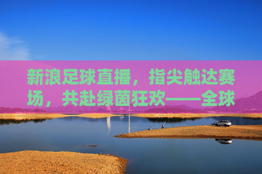 新浪足球直播，指尖触达赛场，共赴绿茵狂欢——全球球迷的实时盛宴，新浪足球直播，指尖触达赛场，共赴绿茵狂欢——全球球迷的实时盛宴