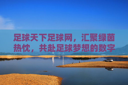 足球天下足球网,汇聚绿茵热忱,共赴足球梦想的数字家园