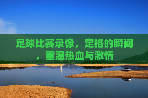 足球比赛录像,定格的瞬间,重温热血与激情