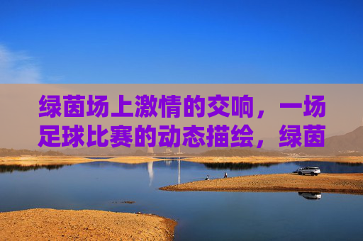 绿茵场上激情的交响，一场足球比赛的动态描绘，绿茵场上激情的交响，一场足球比赛的动态描绘