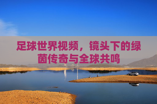 足球世界视频，镜头下的绿茵传奇与全球共鸣