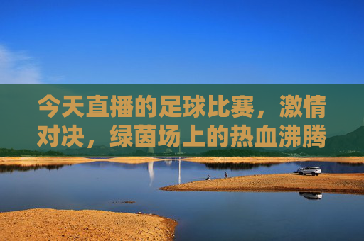 今天直播的足球比赛,激情对决,绿茵场上的热血沸腾