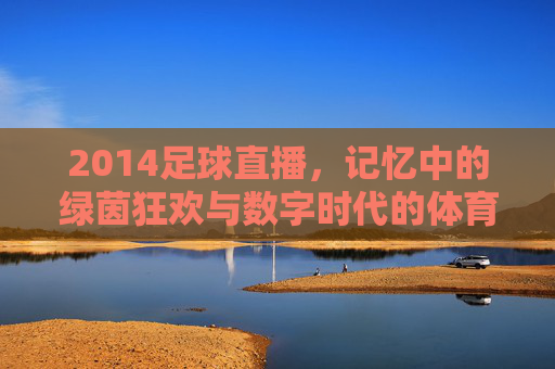 2014足球直播，记忆中的绿茵狂欢与数字时代的体育盛宴，2014足球直播，记忆中的绿茵狂欢与数字时代的体育盛宴