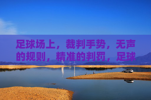 足球场上，裁判手势，无声的规则，精准的判罚，足球场上，裁判手势，无声的规则与精准判罚