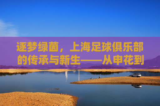 逐梦绿茵,上海足球俱乐部的传承与新生——从申花到上港的百年足球故事