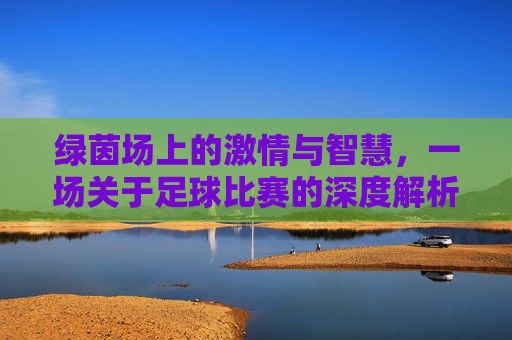 绿茵场上的激情与智慧,一场关于足球比赛的深度解析,绿茵场上的激情与智慧,一场足球比赛的深度解析