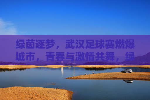 绿茵逐梦，武汉足球赛燃爆城市，青春与激情共舞，绿茵逐梦，武汉足球赛燃爆城市，青春与激情共舞