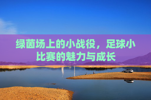 绿茵场上的小战役,足球小比赛的魅力与成长