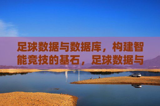 足球数据与数据库，构建智能竞技的基石，足球数据与数据库，构建智能竞技的基石
