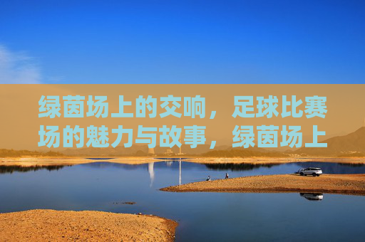 绿茵场上的交响，足球比赛场的魅力与故事，绿茵场上的交响，足球比赛场的魅力与故事