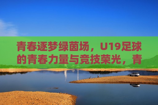 青春逐梦绿茵场，U19足球的青春力量与竞技荣光，青春逐梦绿茵场，U19足球的青春力量与竞技荣光