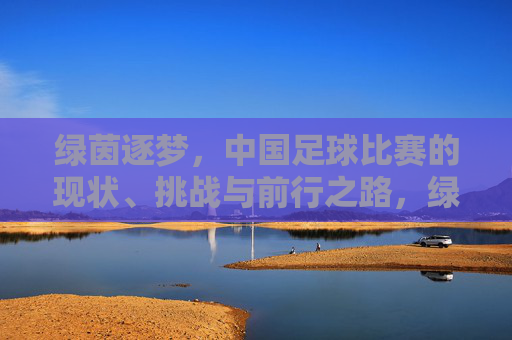 绿茵逐梦，中国足球比赛的现状、挑战与前行之路，绿茵逐梦，中国足球比赛的现状、挑战与前行之路