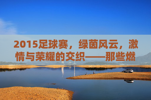 2015足球赛，绿茵风云，激情与荣耀的交织——那些燃烧的瞬间与永恒的回忆，2015足球赛，绿茵风云，激情与荣耀的交织——那些燃烧的瞬间与永恒的回忆
