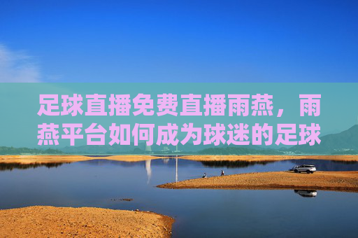 足球直播免费直播雨燕,雨燕平台如何成为球迷的足球盛宴入口?雨燕平台如何成为球迷的足球盛宴入口,免费直播体验足球魅力