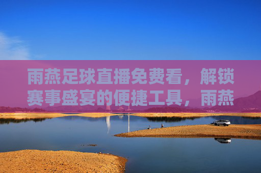 雨燕足球直播免费看,解锁赛事盛宴的便捷工具,雨燕足球直播免费看,解锁赛事盛宴的便捷工具