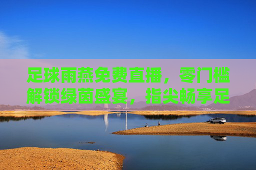 足球雨燕免费直播，零门槛解锁绿茵盛宴，指尖畅享足球魅力，足球雨燕免费直播，零门槛解锁绿茵盛宴，指尖畅享足球魅力