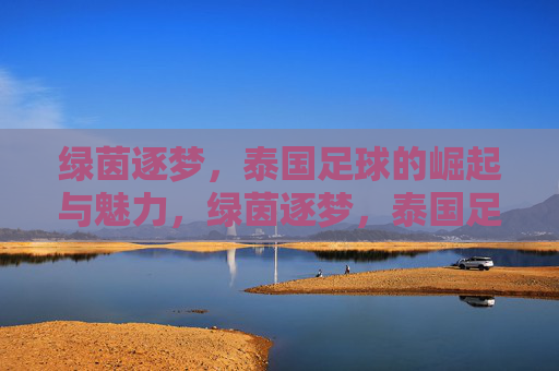 绿茵逐梦，泰国足球的崛起与魅力，绿茵逐梦，泰国足球的崛起与魅力