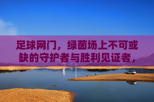 足球网门,绿茵场上不可或缺的守护者与胜利见证者,足球网门,绿茵场上不可或缺的守护者与胜利见证者