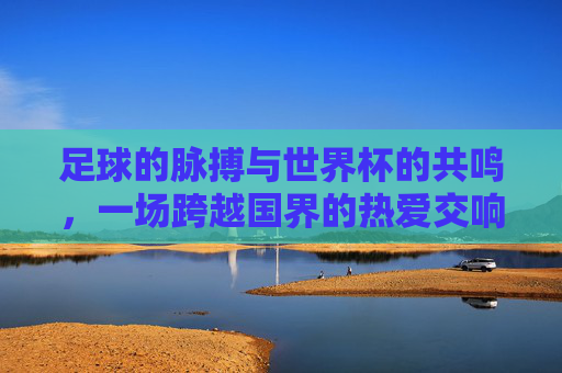 足球的脉搏与世界杯的共鸣,一场跨越国界的热爱交响,足球的脉搏与世界杯的共鸣,一场跨越国界的热爱交响