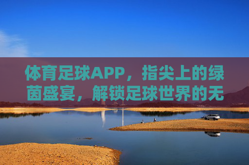 体育足球APP,指尖上的绿茵盛宴,解锁足球世界的无限可能,体育足球APP,指尖上的绿茵盛宴,解锁足球世界的无限可能