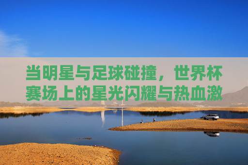 当明星与足球碰撞，世界杯赛场上的星光闪耀与热血激情，当明星与足球碰撞，世界杯赛场上的星光闪耀与热血激情