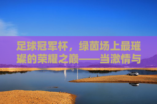 足球冠军杯，绿茵场上最璀璨的荣耀之巅——当激情与荣耀在巅峰碰撞，足球冠军杯，绿茵场上最璀璨的荣耀之巅——当激情与荣耀在巅峰碰撞
