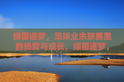 绿茵逐梦,足球业余联赛里的热爱与成长,绿茵逐梦,足球业余联赛里的热爱与成长