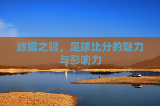 数据之眼,足球比分的魅力与影响力