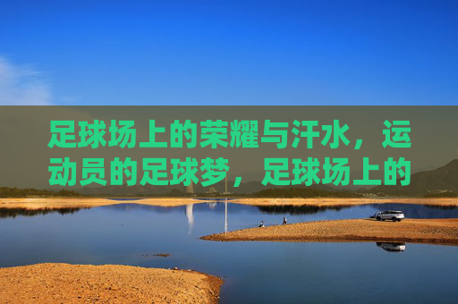 足球场上的荣耀与汗水，运动员的足球梦，足球场上的荣耀与汗水，运动员的足球梦