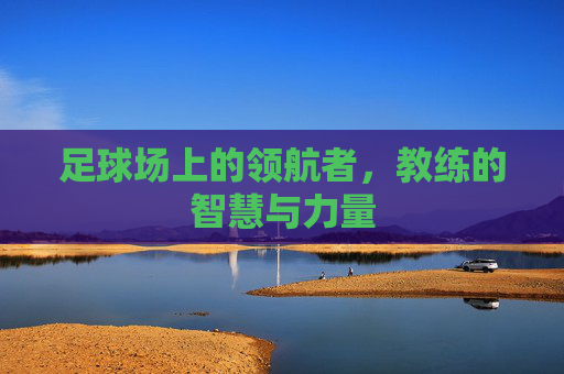 足球场上的领航者,教练的智慧与力量