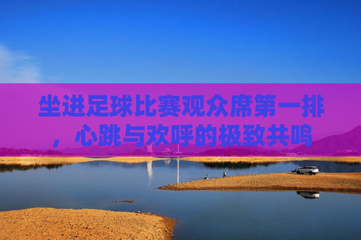 坐进足球比赛观众席第一排，心跳与欢呼的极致共鸣