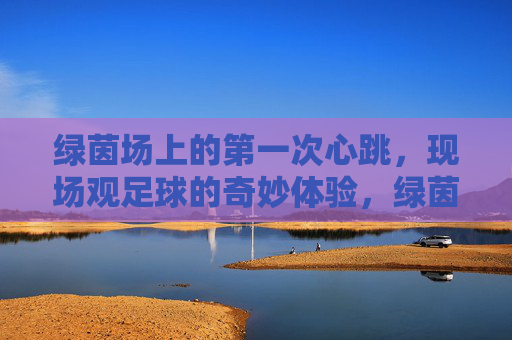 绿茵场上的第一次心跳，现场观足球的奇妙体验，绿茵场上的第一次心跳，现场观足球的奇妙体验