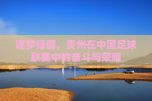 逐梦绿茵，贵州在中国足球联赛中的奋斗与荣耀